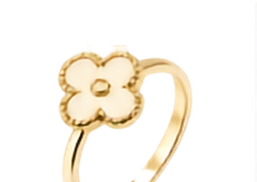 Bague Ajustable Acier Inoxydable