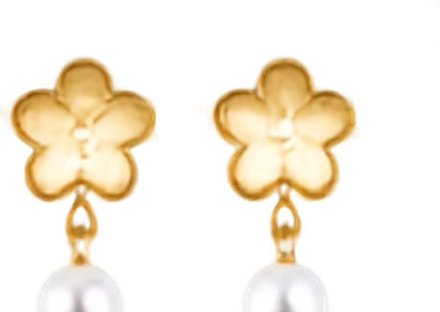 Boucles d'Oreilles Fleur & Perle